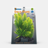 DECO PLANT MYRIOPHYLLUM DECO PLANT MYRIOPHYLLUM